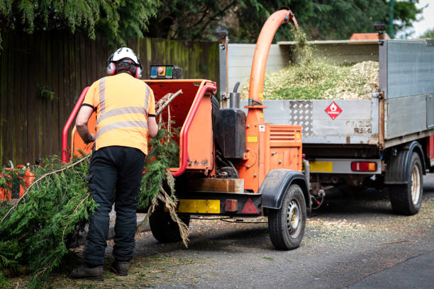 Soil Testing and Treatment in Gibbsboro, NJ