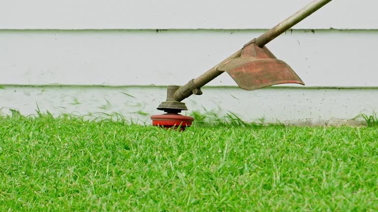 Best Commercial Tree Services  in Gibbsboro, NJ